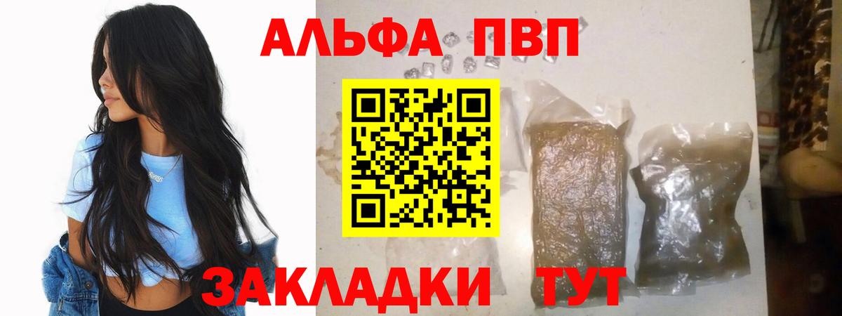 Alfa_PVP СК Сосновый Бор