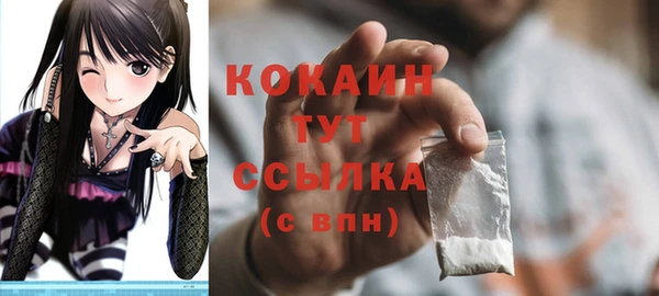 ПСИЛОЦИБИНОВЫЕ ГРИБЫ Лагань