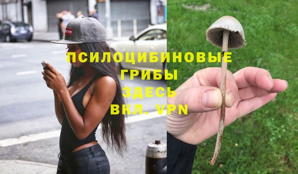 кокс Ладушкин