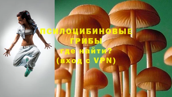 ПСИЛОЦИБИНОВЫЕ ГРИБЫ Лагань