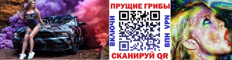 Псилоцибиновые грибы мицелий где можно купить наркотик Сосновый Бор