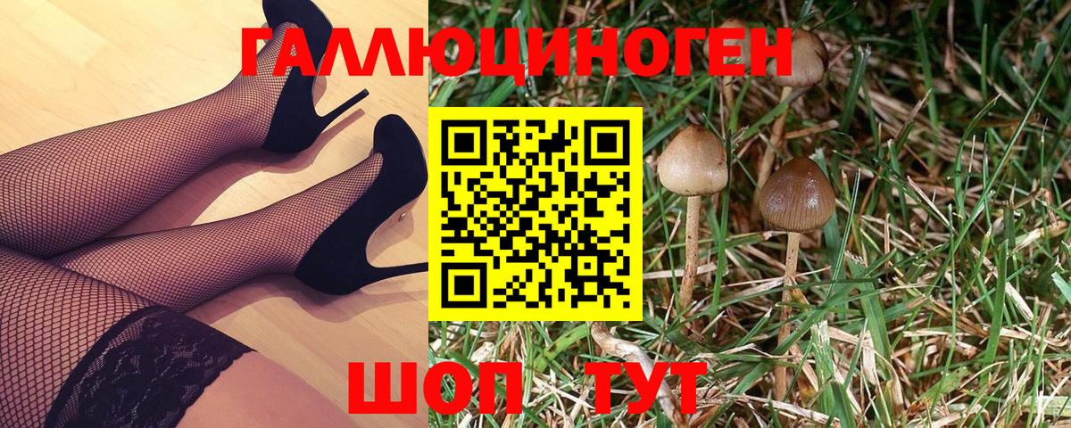 Псилоцибиновые грибы Magic Shrooms  где можно купить   Галлюциногенные грибы GOLDEN TEACHER  Сосновый Бор 