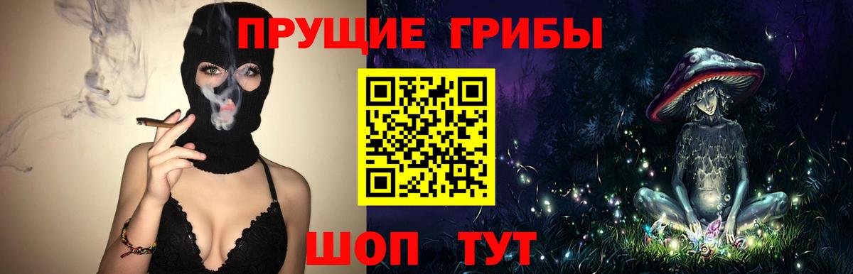 Галлюциногенные грибы Magic Shrooms  Галлюциногенные грибы Cubensis  Сосновый Бор  цены наркотик  Вход с VPN 