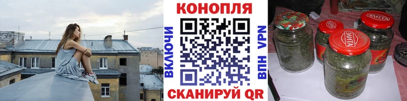 Конопля марихуана  Сосновый Бор 